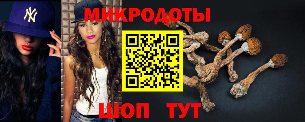 Псилоцибиновые грибы мухоморы Приморско-Ахтарск